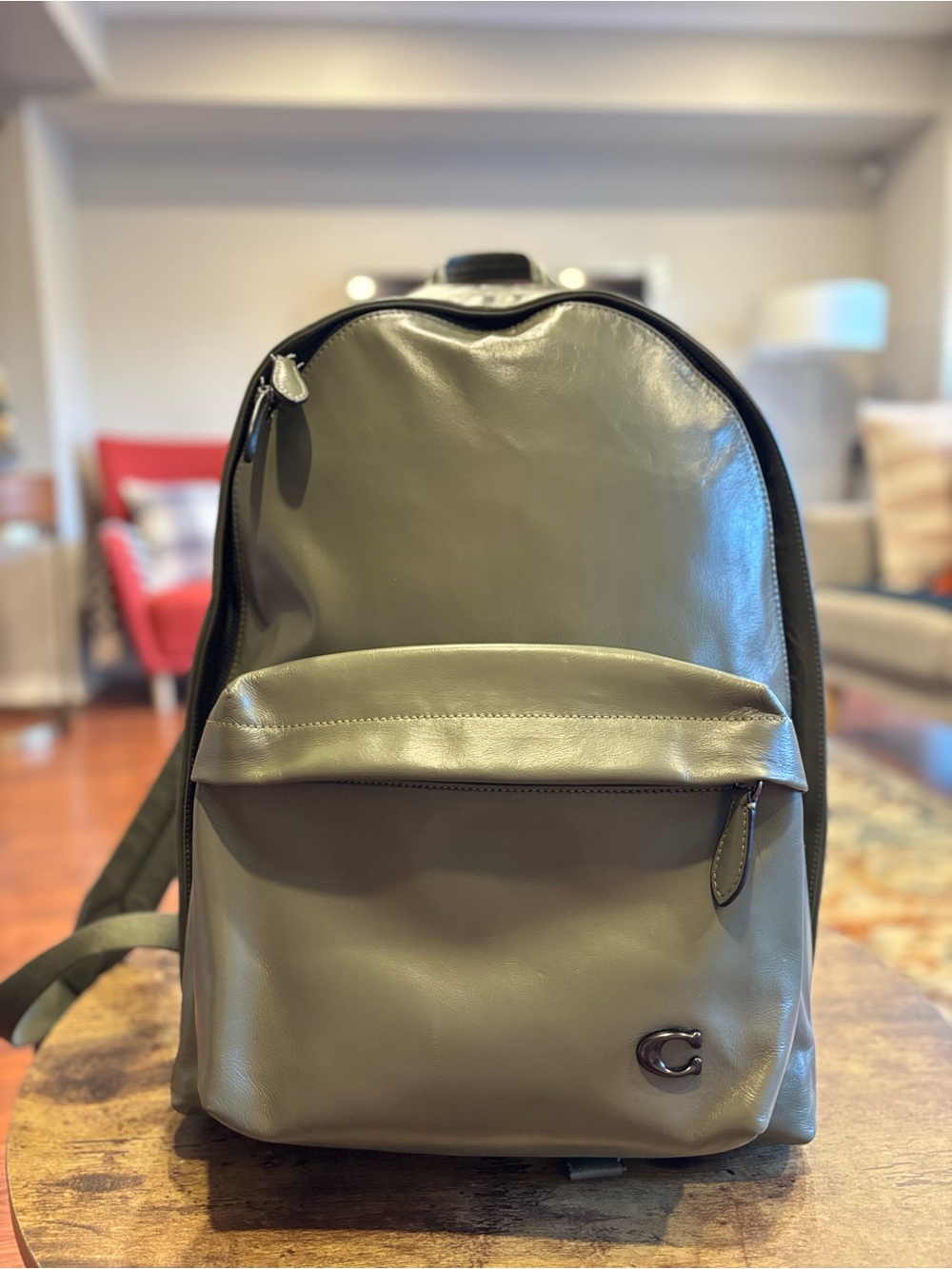 Coach Unisex Olive Leather Backpack with Front Pocket
